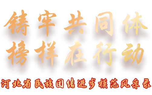 铸牢共同体 榜样在行动